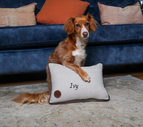 The Ivy & Duke Pillow - Image 4