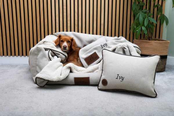The Ivy & Duke Pillow - Image 3