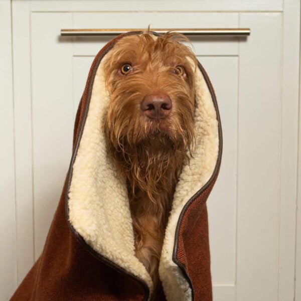Blanket in Cinnamon