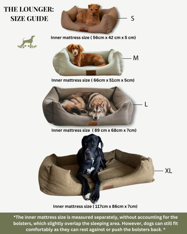 The Lounger - Image 11