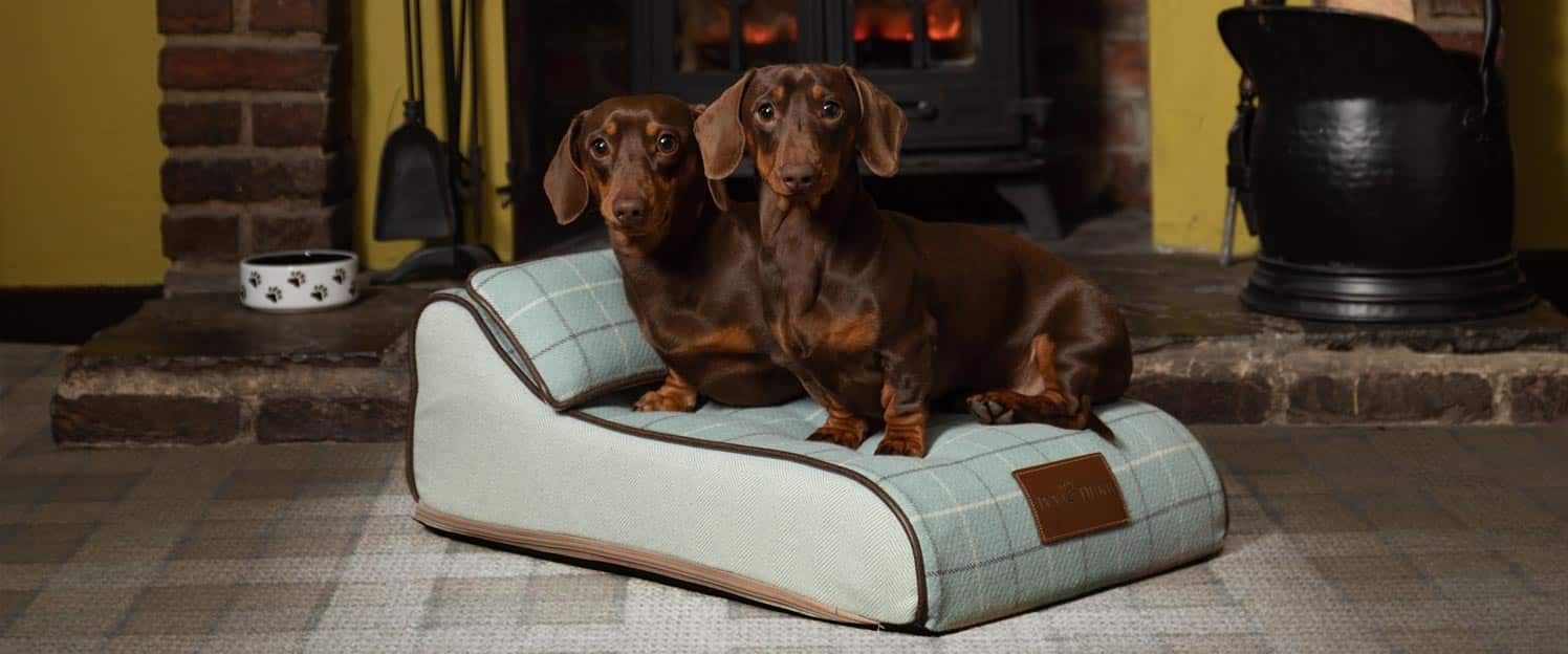The Chaise Chien in Duck Egg