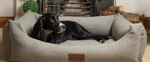 The Lounger Dog Bed in Pewter