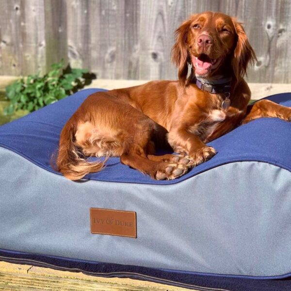 The Boneo (Waterproof) - Image 3