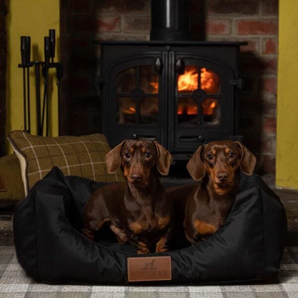 Small Size Waterproof Lounger In Black