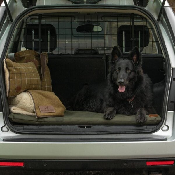 The Travel Mat (Waterproof) - Image 7
