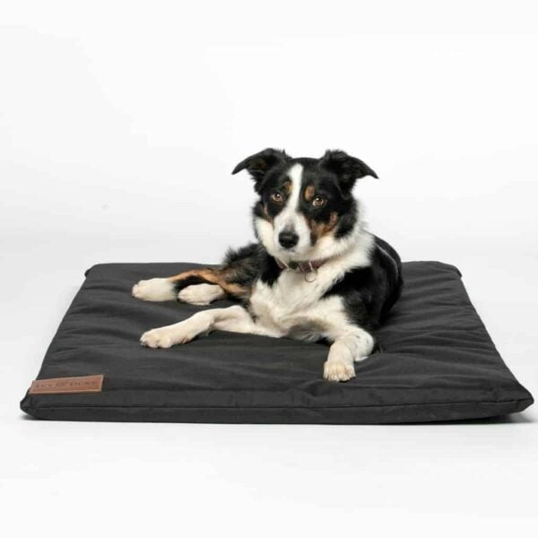 Waterproof Travel Mat in Black