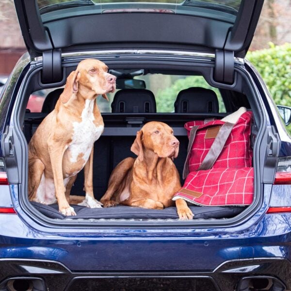 The Travel Mat (Waterproof) - Image 5