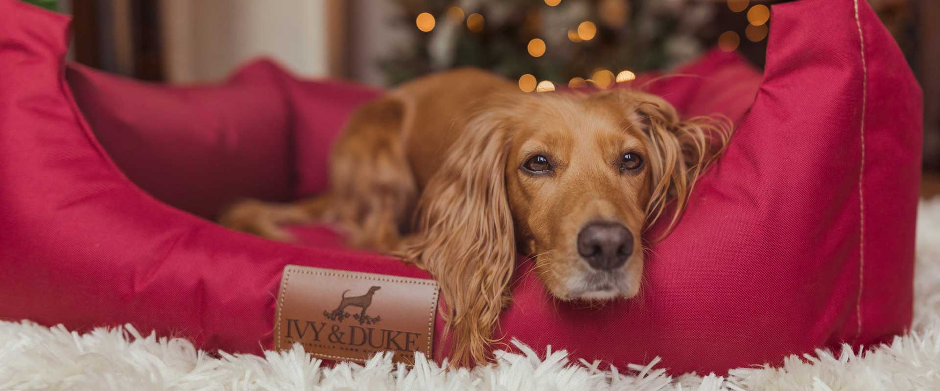 Ivy and Duke No Smell Like Home Dog Beds