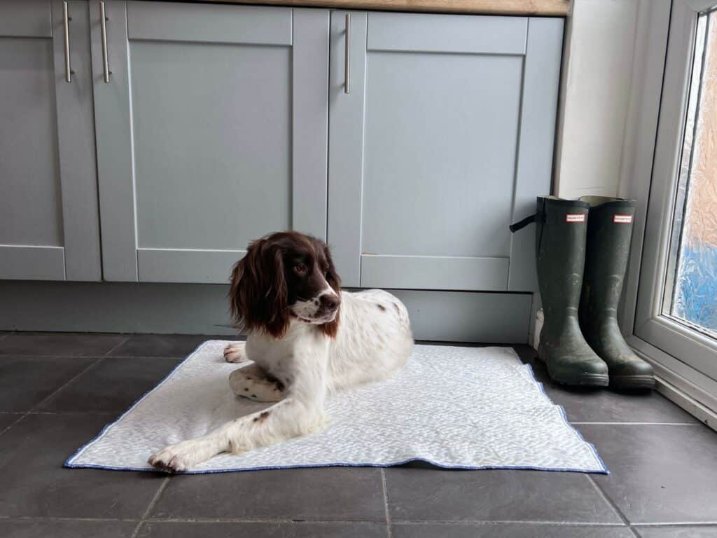 cooling pillow for dogs