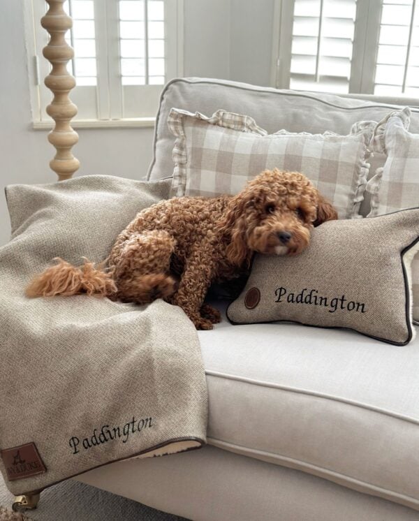 The Ivy & Duke Blanket - Image 3