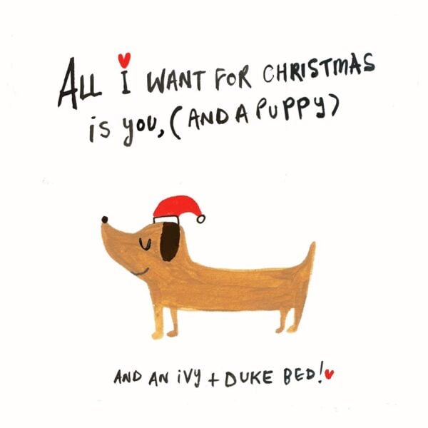 Ivy & Duke Christmas Cards by Sooshichacha (Pck 6) - Image 4