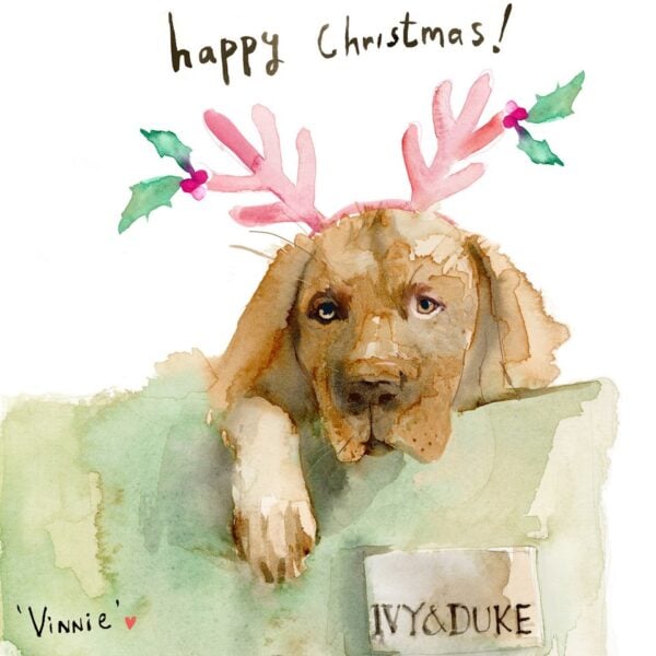 Ivy & Duke Christmas Cards by Sooshichacha (Pck 6)