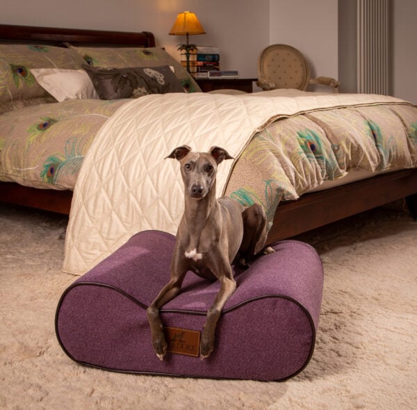 The Boneo - Image 2