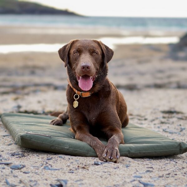 The Travel Mat (Waterproof) - Image 3