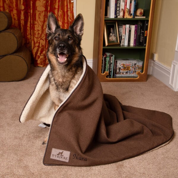 The Ivy & Duke Blanket