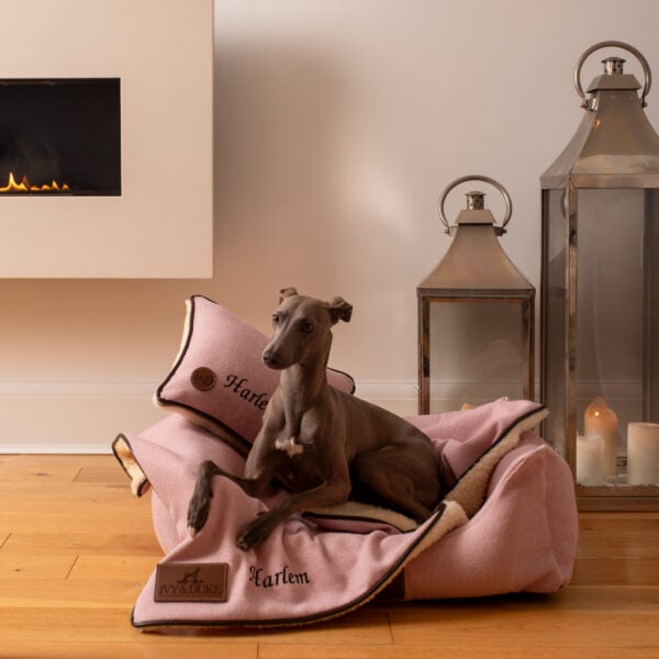 The Ivy & Duke Blanket - Image 2