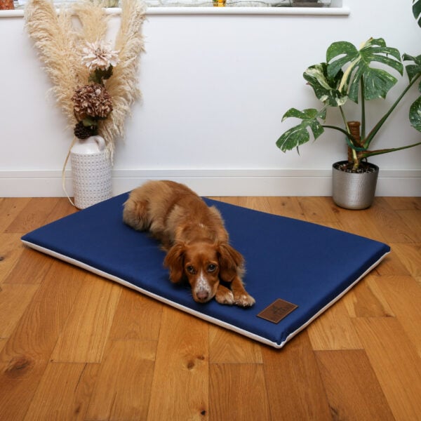 The Cool Crossbreed Mat - Image 4