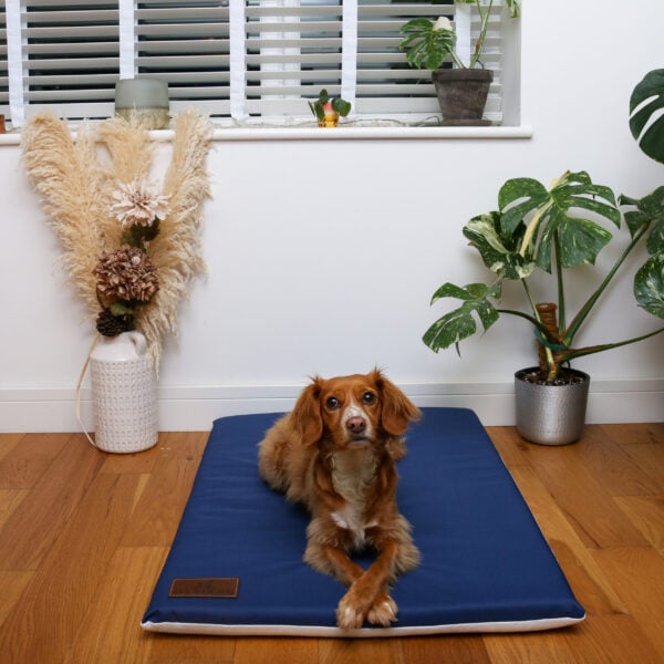 The Cool Crossbreed Mat - Image 2