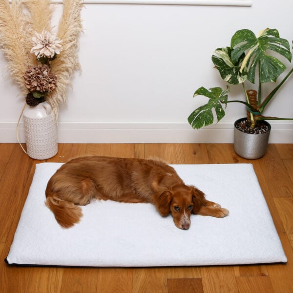 The Cool Crossbreed Mat - Image 3