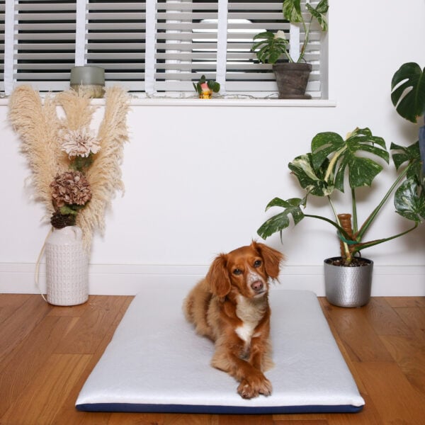 The Cool Crossbreed Mat