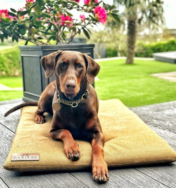 The Travel Mat