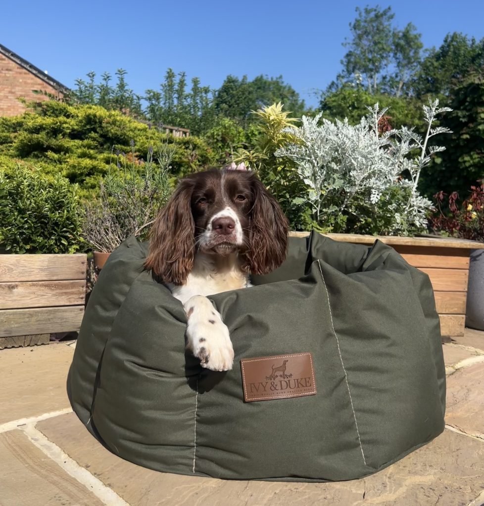 The Den Bed Ivy Duke Waterproof Dog Beds