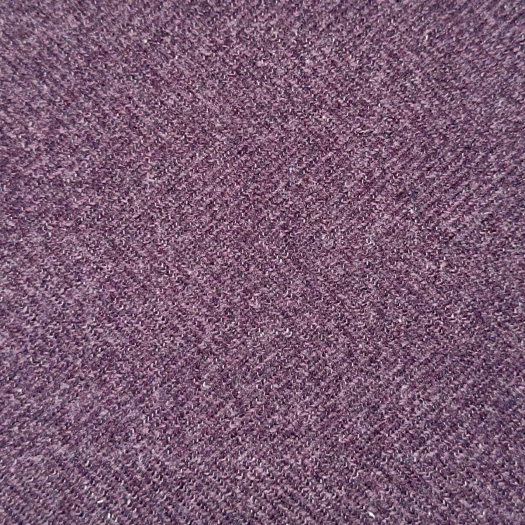 Purple-Thistle