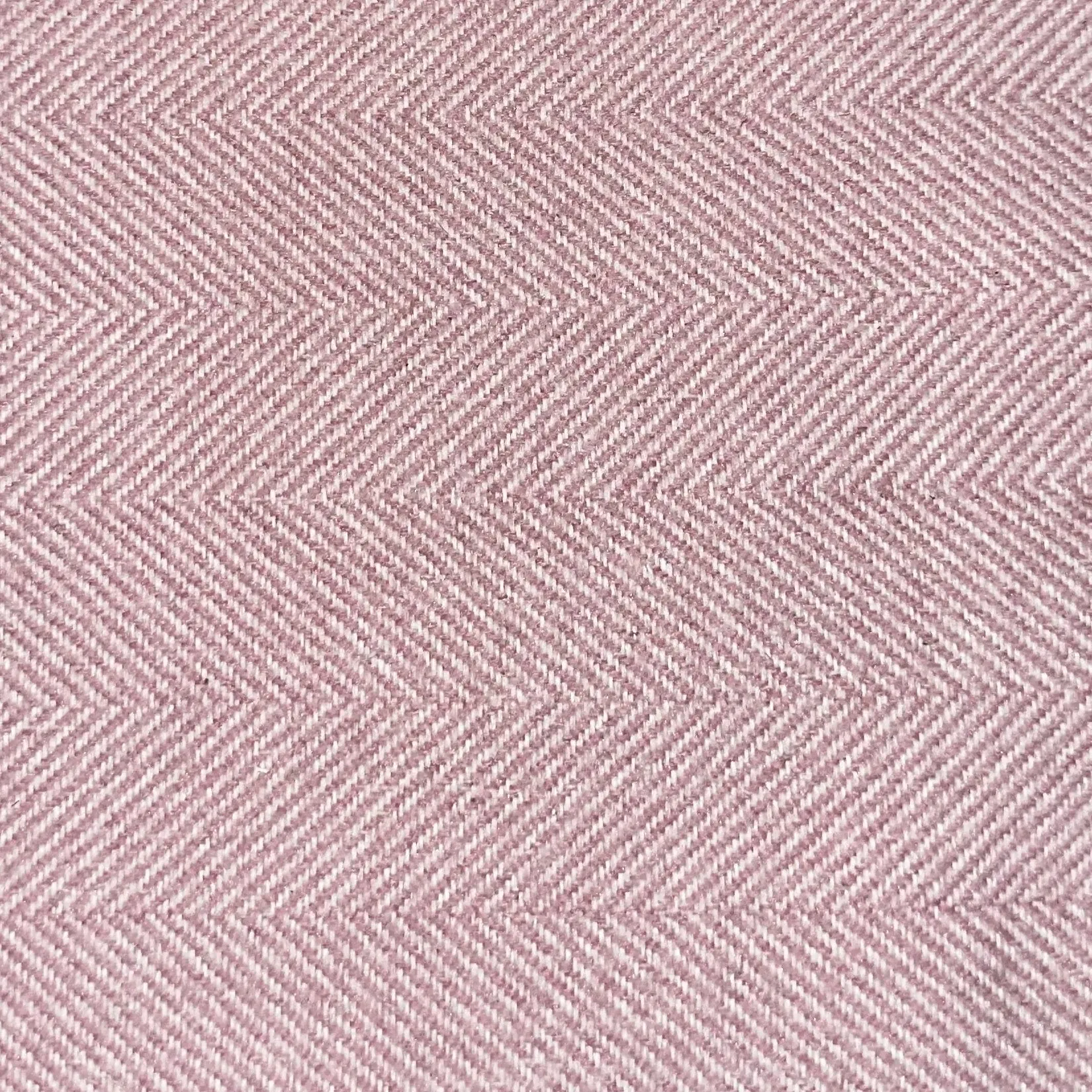 Sweetpea-Pink