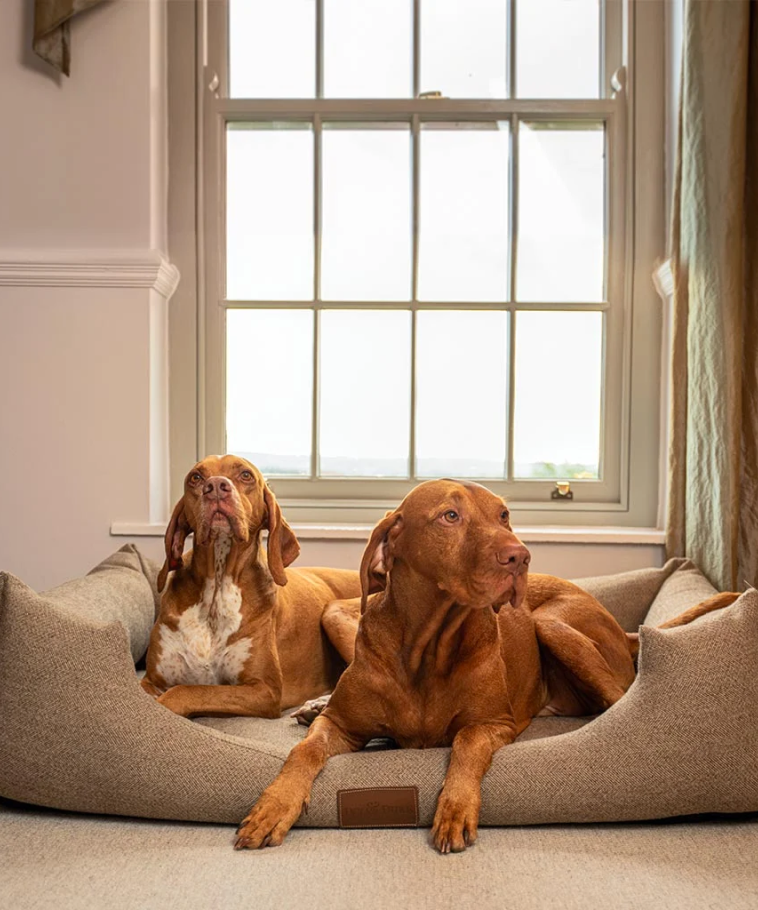 luxury_fabric_beds