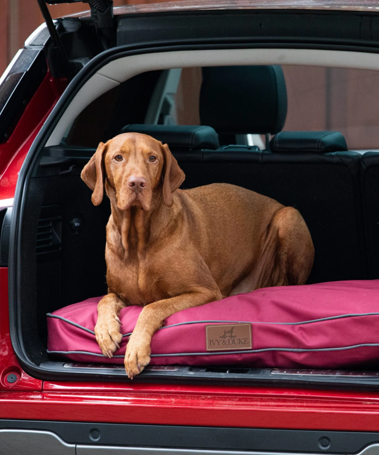 luxury_waterproof_beds