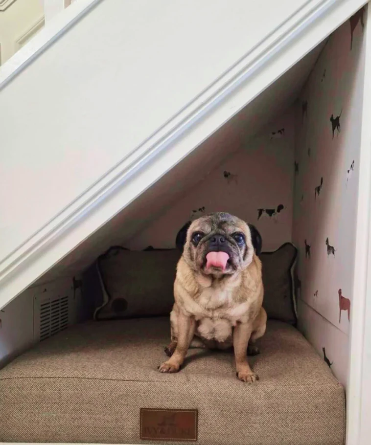 under_stairs_