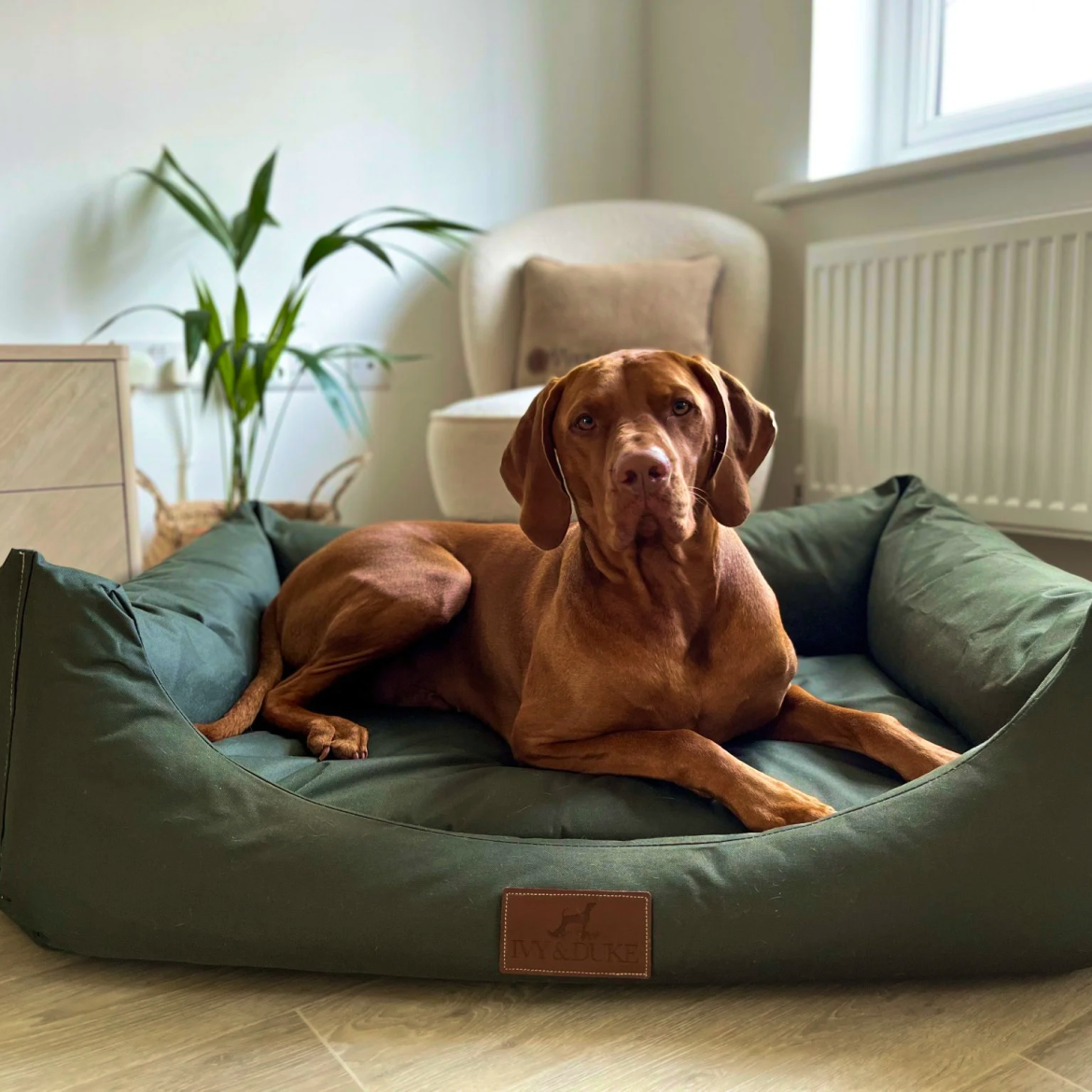 waterproof_beds