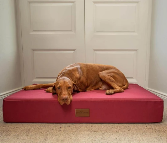 waterproof_beds_cvr
