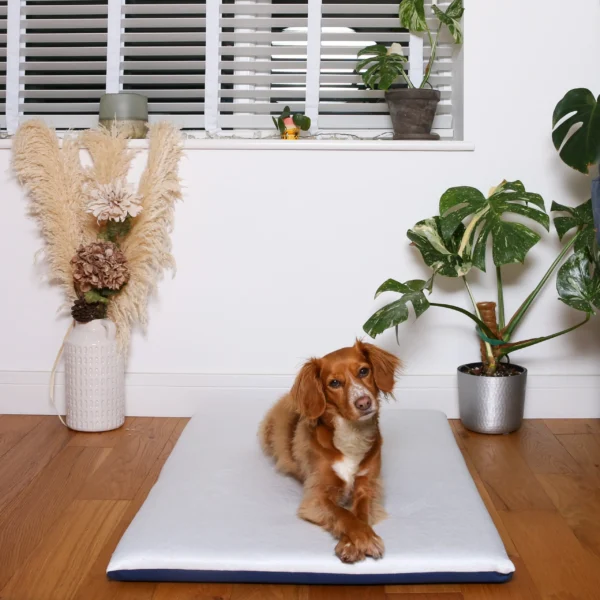 Crossbreed featured