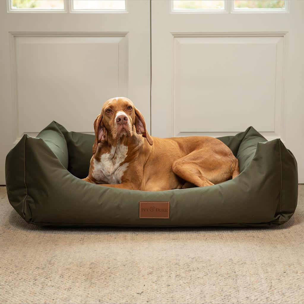 ivy-and-duke-waterproof-the-lounger-olive