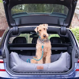 back of car dog bed