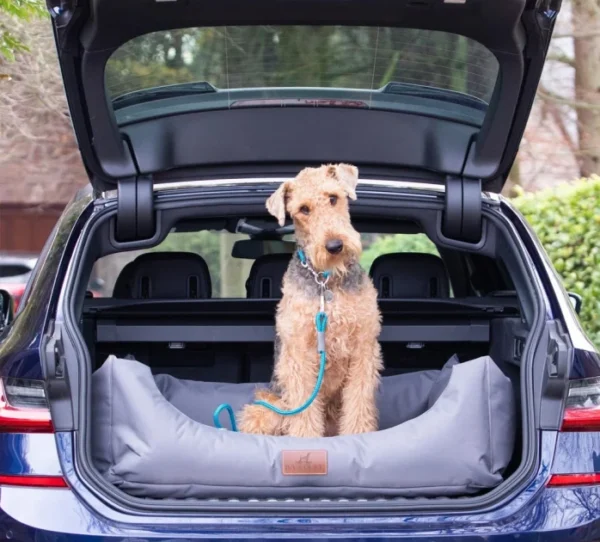 back of car dog bed