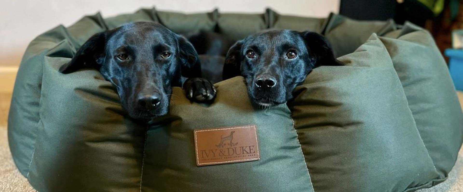 Gundog trainer of the year waterproof den dog beds