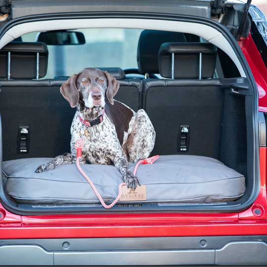 ivy-and-duke-dog-beds-easy-to-clean-2