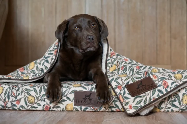 The Limited Edition William Morris Skinny Mutt & Blanket Bundle