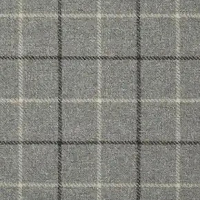 dove_grey