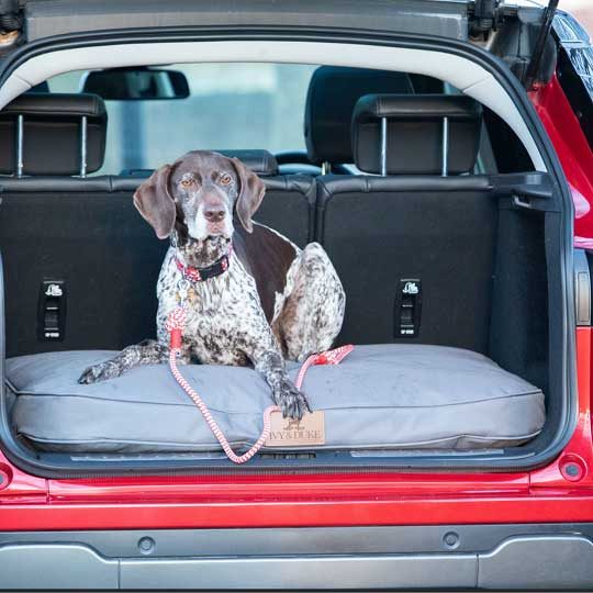 ivy-and-duke-dog-beds-easy-to-clean-2