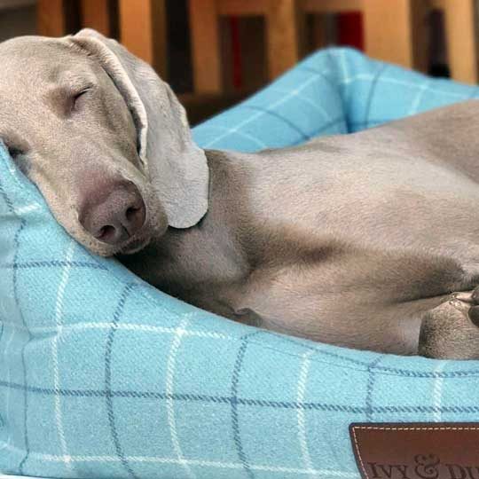 ivy-and-duke-dog-beds-easy-to-clean-4