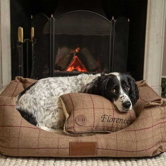 ivy-and-duke-dog-beds-easy-to-clean-5