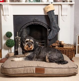 Medium Size Fabric Pedigree Bed In Tweed